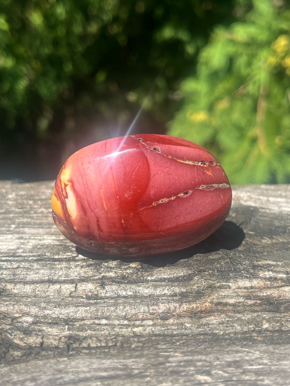 Mookaite Palm